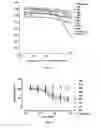 Fig. 06 - Nucleic acid molecules encoding antibodies which bind CCR4 and uses thereof