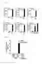 Fig. 04 - Genes encoding biofilm formation inhibitory proteins and a method for producing L-lysine using a bacterial strain with the inactivated genes