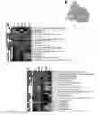 Fig. 13 - Genes related to xylose fermentation and methods of using same for enhanced biofuel production