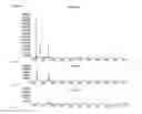 Fig. 32 - Compositions and methods of PGL for the increased production of isoprene