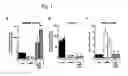Fig. 02 - Vectors and sequences for the treatment of diseases