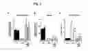 Fig. 03 - Vectors and sequences for the treatment of diseases