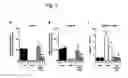 Fig. 04 - Vectors and sequences for the treatment of diseases