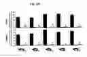 Fig. 07 - Vectors and sequences for the treatment of diseases
