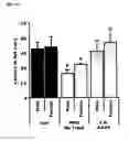 Fig. 09 - Vectors and sequences for the treatment of diseases