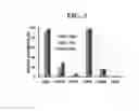 Fig. 08 - Method for generating cancer stem cells from immortalized cell lines