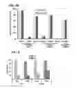 Fig. 10 - Method for generating cancer stem cells from immortalized cell lines