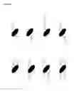 Fig. 03 - Engineered heterodimeric protein domains