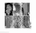 Fig. 12 - Medium comprising transforming growth factor beta 1 and basic fibroblast growth factor