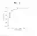 Fig. 05 - Composition for diagnosing liver cancer and methods of diagnosing liver cancer and obtaining information for diagnosing liver cancer