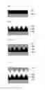 Fig. 04 - Microlens for organic EL element, organic EL element using the same, and manufacturing methods thereof