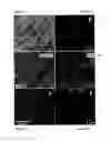 Fig. 02 - Conductive nanowire films