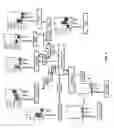 Fig. 09 - HYDROXY-SPHINGOMYELIN 22:1 AS A BIOMARKER FOR HEALTHY AGING