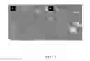 Fig. 02 - DURABLE HAEMOSTATIC SCAFFOLD