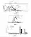 Fig. 06 - Peptides derived from cytotoxicity receptor natural killer protein 44 NKP44
