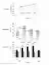 Fig. 08 - Peptides derived from cytotoxicity receptor natural killer protein 44 NKP44