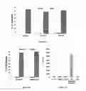 Fig. 09 - Peptides derived from cytotoxicity receptor natural killer protein 44 NKP44