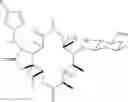 Fig. 09 - Methods for treating resistant diseases using triazole containing macrolides