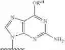 Fig. 118 - Substituted nucleosides, nucleotides and analogs thereof