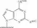 Fig. 223 - Substituted nucleosides, nucleotides and analogs thereof