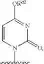 Fig. 226 - Substituted nucleosides, nucleotides and analogs thereof