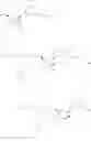 Fig. 429 - Substituted nucleosides, nucleotides and analogs thereof