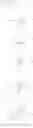 Fig. 430 - Substituted nucleosides, nucleotides and analogs thereof