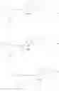 Fig. 454 - Substituted nucleosides, nucleotides and analogs thereof