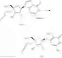 Fig. 480 - Substituted nucleosides, nucleotides and analogs thereof