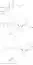 Fig. 549 - Substituted nucleosides, nucleotides and analogs thereof