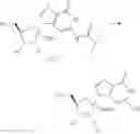 Fig. 569 - Substituted nucleosides, nucleotides and analogs thereof