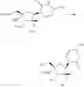 Fig. 603 - Substituted nucleosides, nucleotides and analogs thereof
