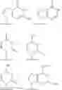 Fig. 834 - Substituted nucleosides, nucleotides and analogs thereof