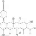 Fig. 486 - 4-dedimethylamino tetracycline compounds