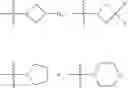Fig. 09 - Methylene linked quinolinyl modulators of RORγt