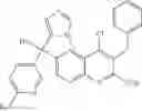 Fig. 388 - Methylene linked quinolinyl modulators of RORγt