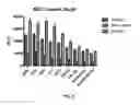 Fig. 06 - Combination therapy with MDM2 and EFGR inhibitors