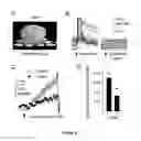 Fig. 07 - Methods and Assays for Detecting and Treating Hypoglycemia