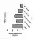 Fig. 04 - LIM kinasemodulating agents for neurofibromatoses therapy and methods for screening for same