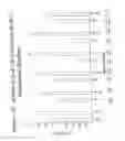 Fig. 41 - RNA INTERFERENCE MEDIATED INHIBITION OF GENE EXPRESSION USING CHEMICALLY MODIFIED SHORT INTERFERING NUCLEIC ACID (siNA)