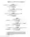 Fig. 62 - RNA INTERFERENCE MEDIATED INHIBITION OF GENE EXPRESSION USING CHEMICALLY MODIFIED SHORT INTERFERING NUCLEIC ACID (siNA)