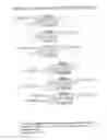 Fig. 66 - RNA INTERFERENCE MEDIATED INHIBITION OF GENE EXPRESSION USING CHEMICALLY MODIFIED SHORT INTERFERING NUCLEIC ACID (siNA)