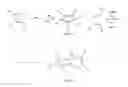 Fig. 01 - Scalable and high yield synthesis of transition metal bis-diazabutadienes