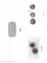 Fig. 02 - Polymeric radiation-sources