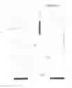 Fig. 23 - BLANC'S PENIS ENLARGER SLIDER