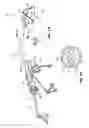 Fig. 02 - SYSTEM AND METHOD FOR MULTI-INSTRUMENT SURGICAL ACCESS