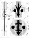 Fig. 28 - Biopsy device