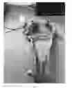 Fig. 02 - METHOD FOR CALMING A PERSON
