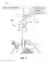 Fig. 02 - Laparoscopic device