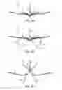Fig. 04 - Gripper pusher mechanism for tissue apposition systems
